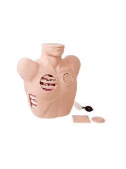 PLEURAL DRAINAGE MANIKIN 